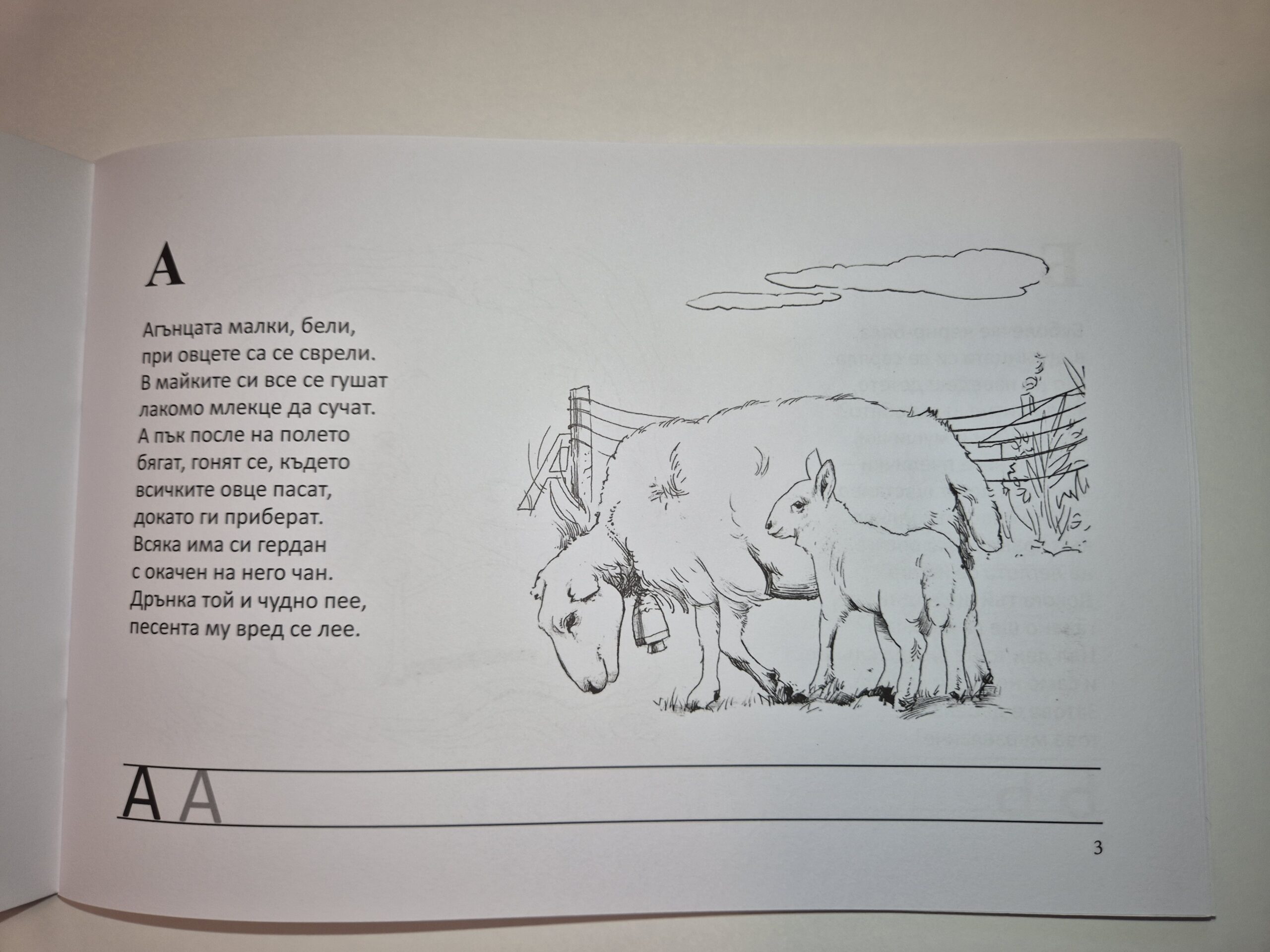 Страница за оцветяване